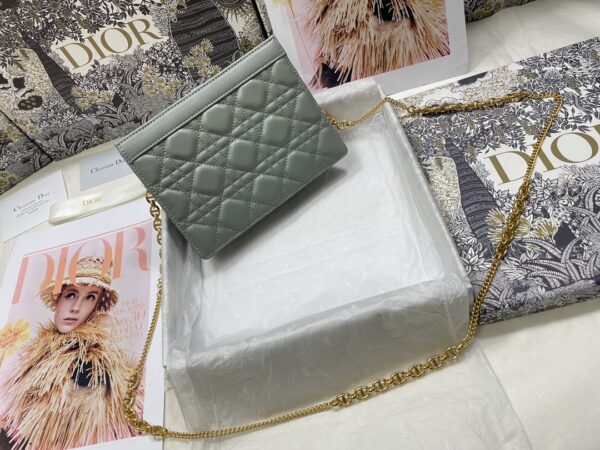 DIOR CARO ZIPPED POUCH WITH CHAIN