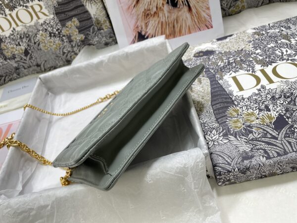 DIOR CARO ZIPPED POUCH WITH CHAIN