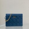 DIOR CARO ZIPPED POUCH WITH CHAIN