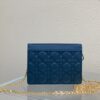 DIOR CARO ZIPPED POUCH WITH CHAIN