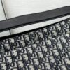 Dior Saddle Soft
