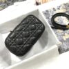SMALL DIORTRAVEL VANITY CASE