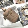 SMALL DIORTRAVEL VANITY CASE