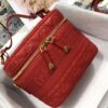 SMALL DIORTRAVEL VANITY CASE