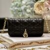 LADY DIOR PHONE POUCH