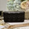 LADY DIOR PHONE POUCH
