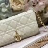 LADY DIOR PHONE POUCH