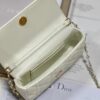 LADY DIOR PHONE POUCH