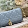 LADY DIOR PHONE POUCH