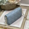 LADY DIOR PHONE POUCH