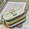 Dior Bobby Frame