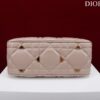 DIOR LADY 95.22