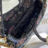 DIOR SADDLE BAG
