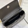 LADY DIOR PHONE POUCH