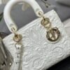 SMALL LADY DIOR