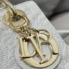 SMALL LADY DIOR