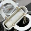 SMALL LADY DIOR