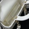 SMALL LADY DIOR
