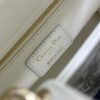 SMALL LADY DIOR