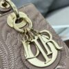 SMALL LADY DIOR