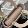 SMALL LADY DIOR