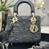 SMALL LADY DIOR