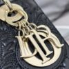 SMALL LADY DIOR
