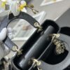 SMALL LADY DIOR