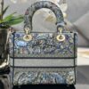 Dior Medium Lady D-Lite bag