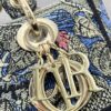 Dior Medium Lady D-Lite bag