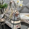Dior Medium Lady D-Lite bag