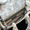 Dior Medium Lady D-Lite bag