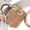 LADY DIOR MICRO BAG