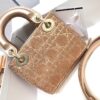 LADY DIOR MICRO BAG