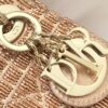 LADY DIOR MICRO BAG