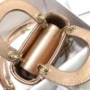 LADY DIOR MICRO BAG