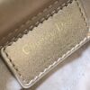 LADY DIOR MICRO BAG