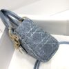 LADY DIOR MICRO BAG