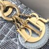LADY DIOR MICRO BAG