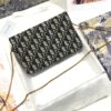 DIOR SADDLE POUCH