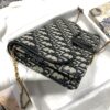 DIOR SADDLE POUCH