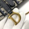 DIOR SADDLE POUCH