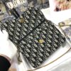 DIOR SADDLE POUCH