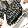 DIOR SADDLE POUCH