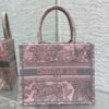 SMALL DIOR BOOK TOTE