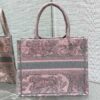 SMALL DIOR BOOK TOTE
