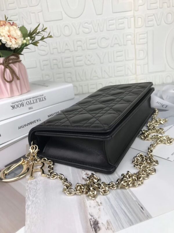 LADY DIOR POUCH