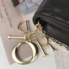LADY DIOR POUCH