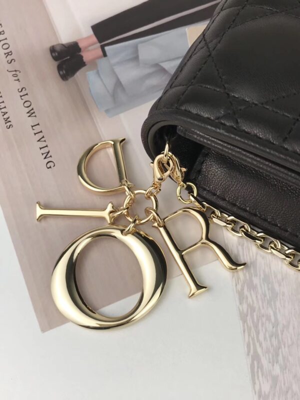 LADY DIOR POUCH