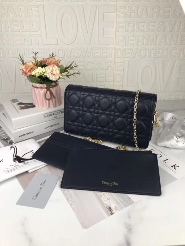 LADY DIOR POUCH